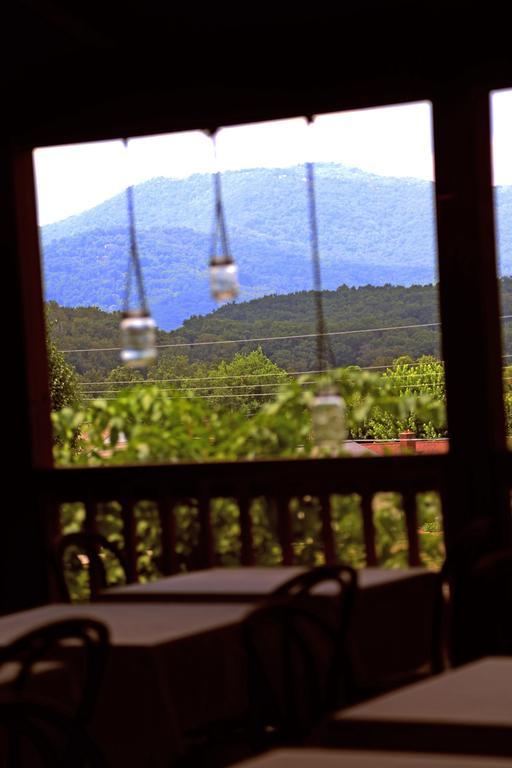 Grandview Lodge Waynesville Dış mekan fotoğraf
